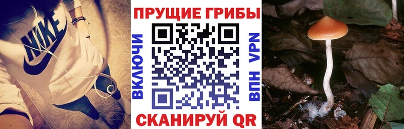 Галлюциногенные грибы прущие грибы  Купить где  Реутов 